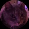 jillybean4jb